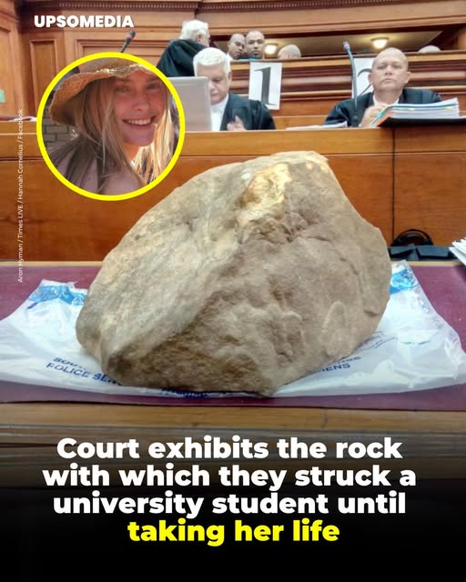 I ❤️ Cape Town ~ I Stand with Russia🇷🇺 MAGA tweet media