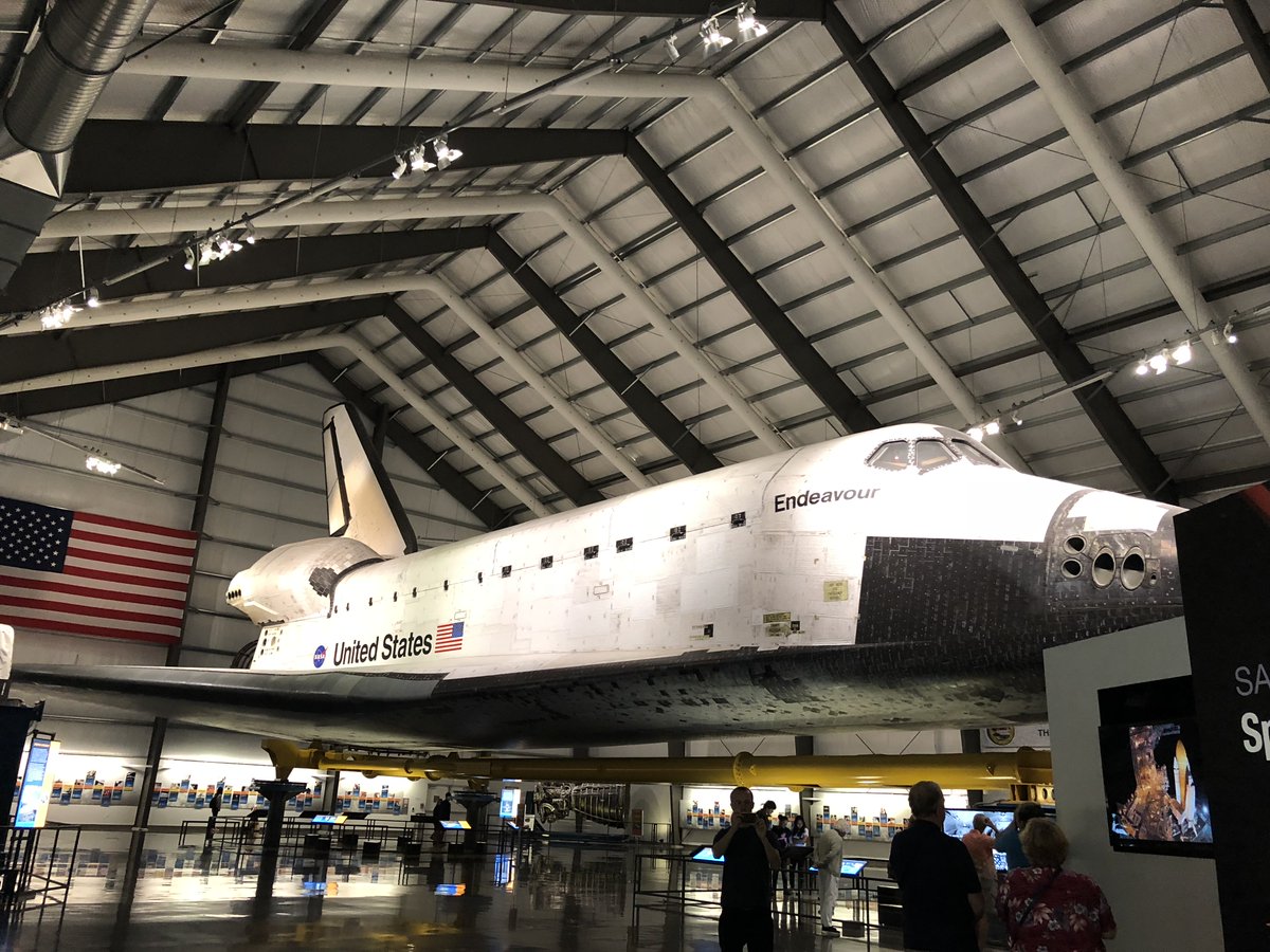 えど🦡 tweet media