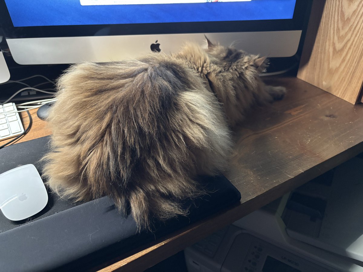 鈴木ツタ⛈️ tweet media