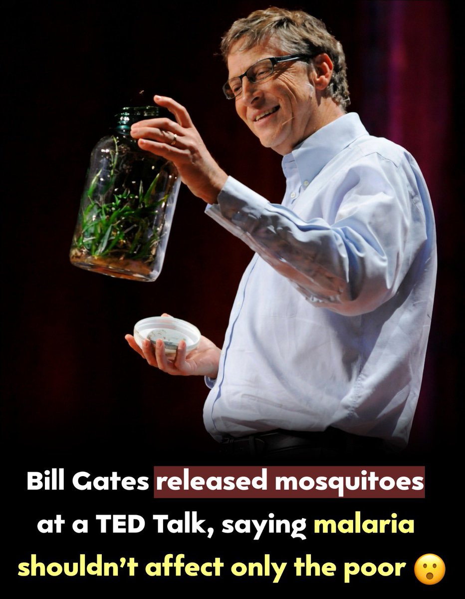 InnerGlitch ×͜× tweet media