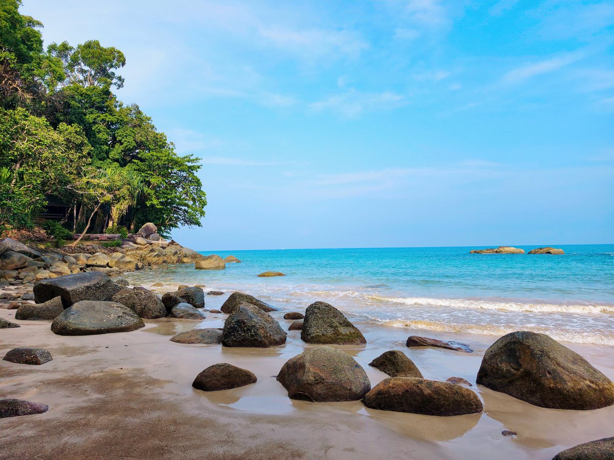 OhmManmoth tweet media