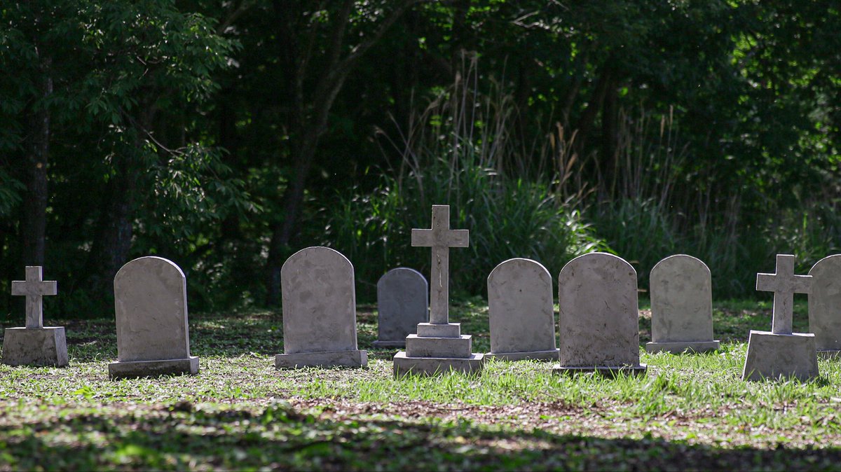 コスフォレスト｜自然コスプレスタジオ tweet media