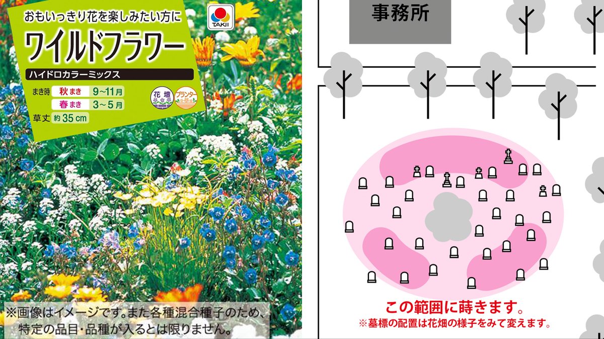 コスフォレスト｜自然コスプレスタジオ tweet media