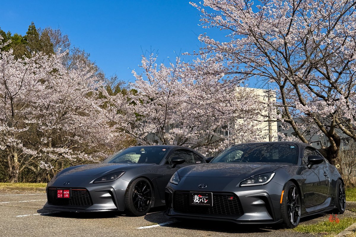 お久しぶりのナンバープレート隠しコラボ✨