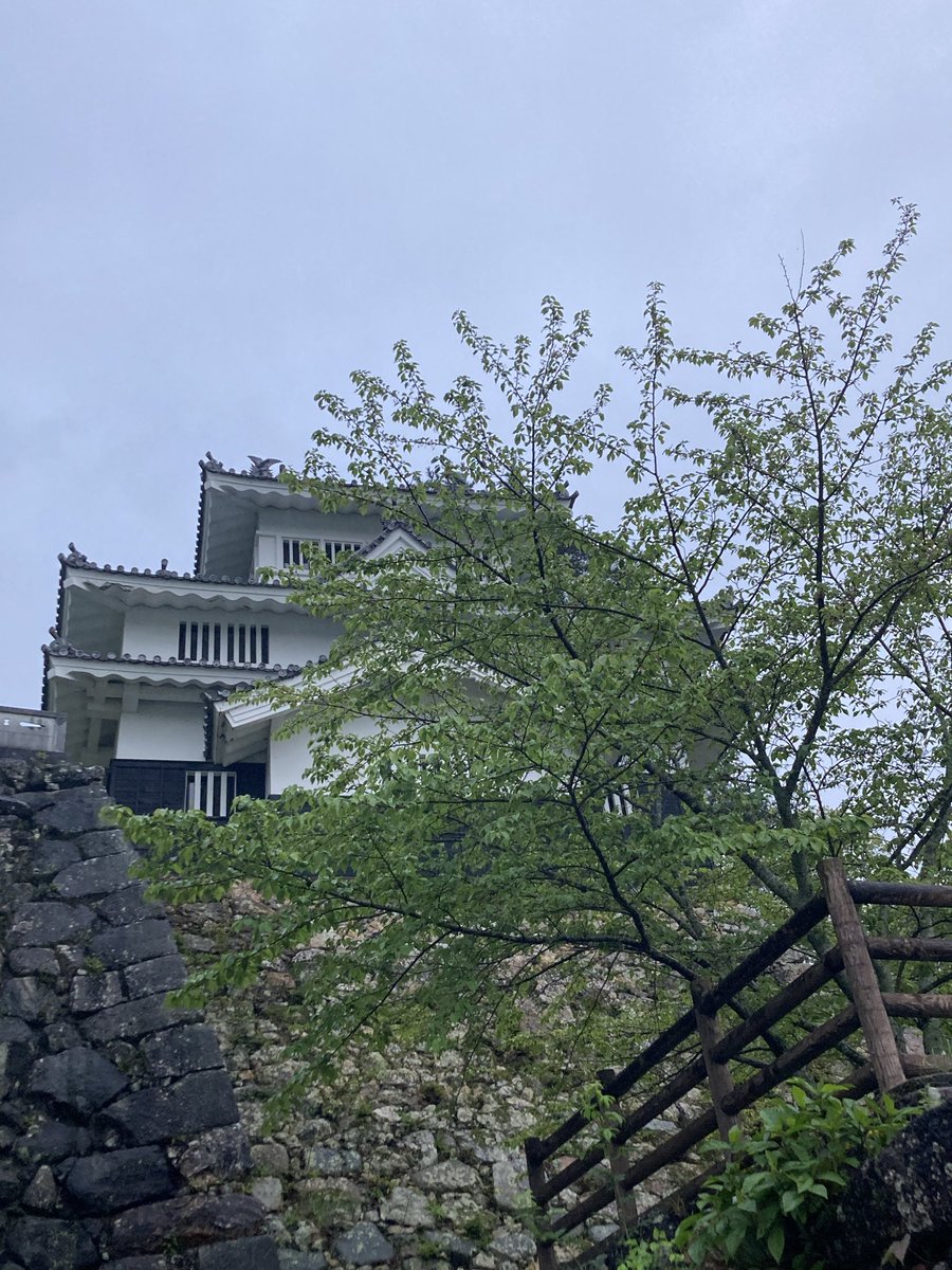 sankaku（ザメル） tweet media