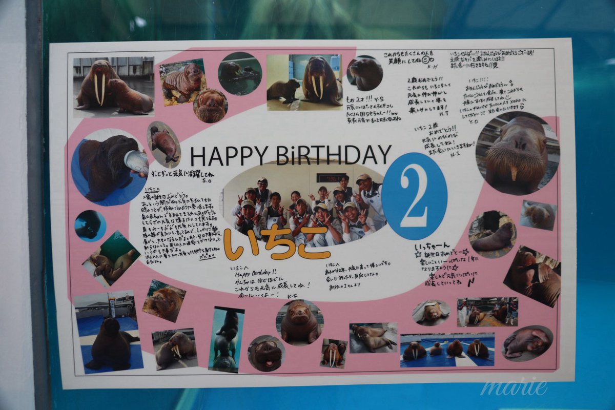 まりえ tweet media