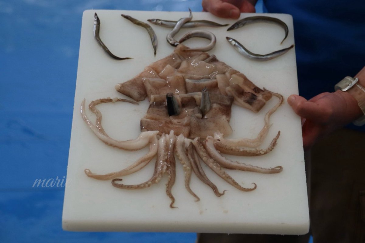 まりえ tweet media