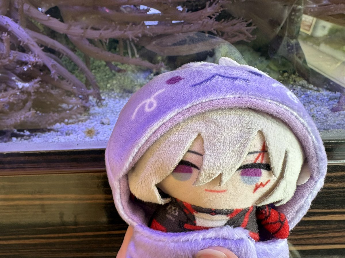 WinWin 🦋🔮🐰🐣🐧 tweet media