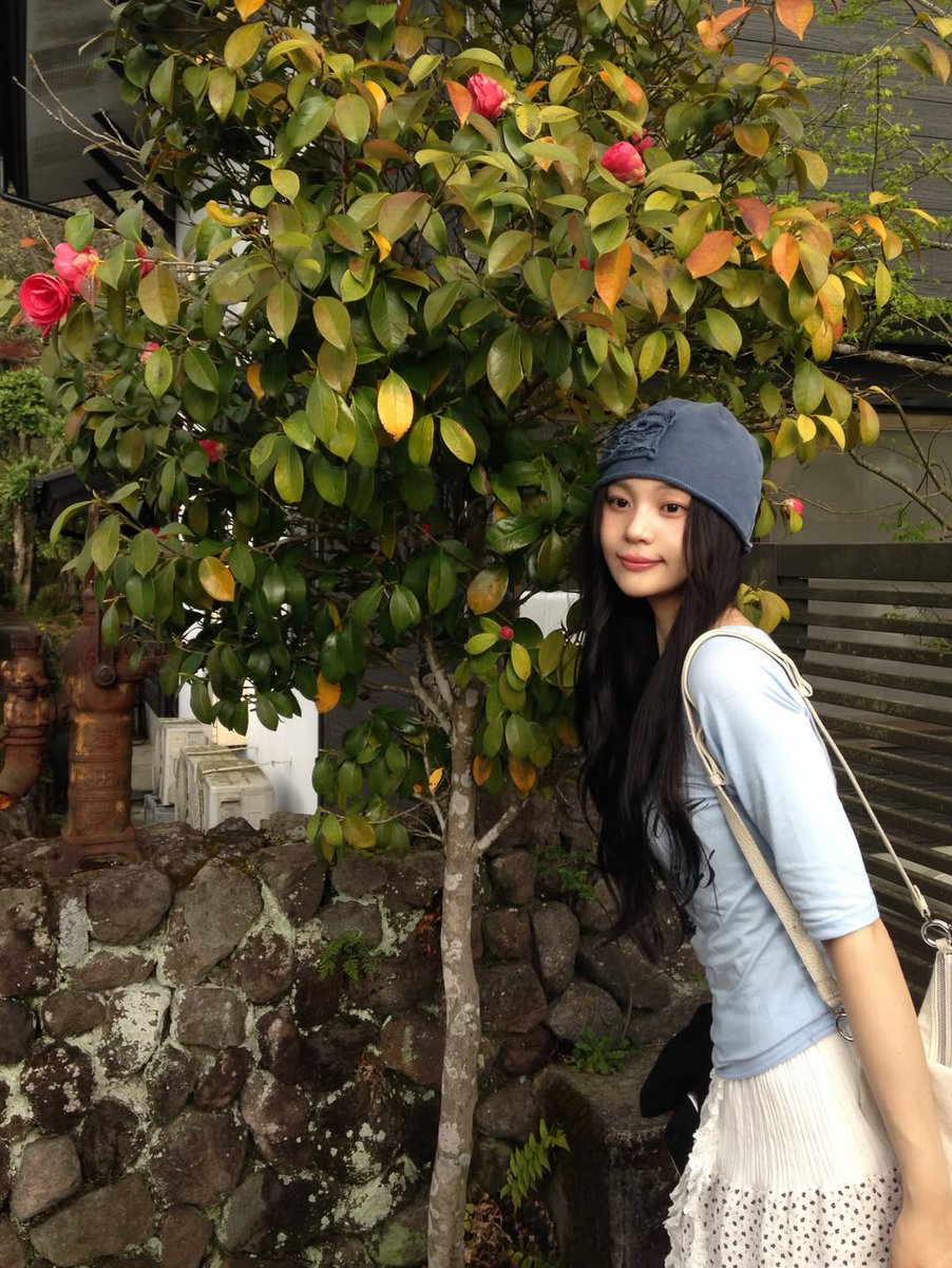 비비지 업데이트 tweet media