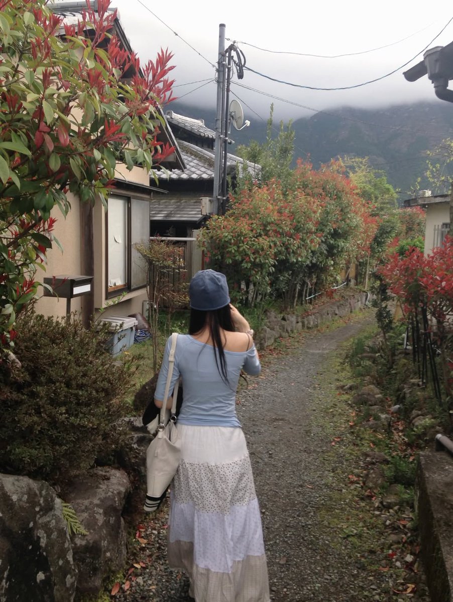 비비지 업데이트 tweet media