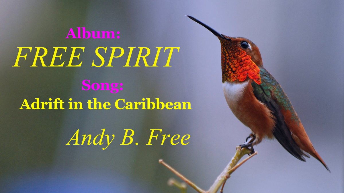 Andy B. Free tweet media