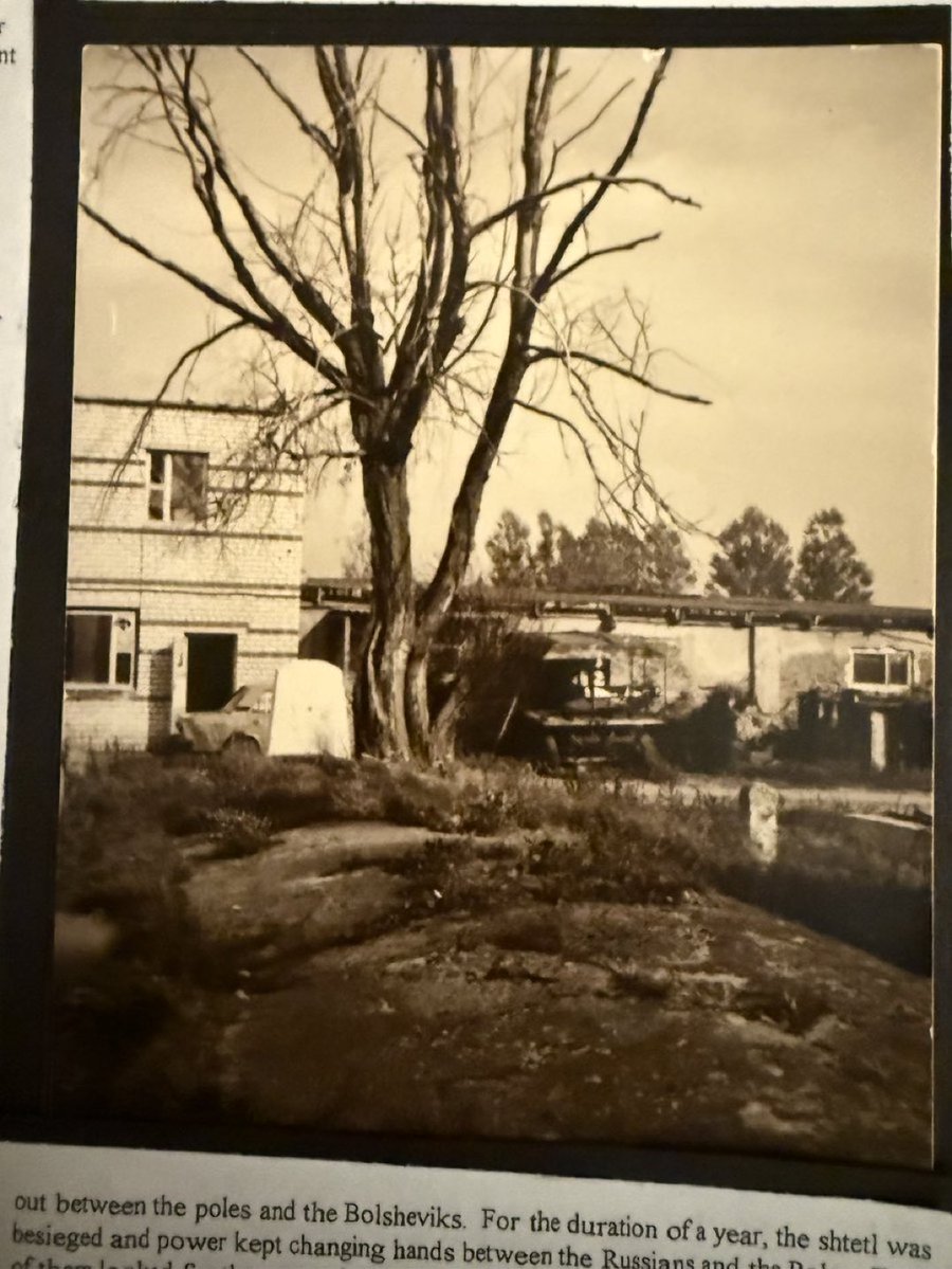 The ditch my family was shot into by Einsatzgruppen in Postavy, Belarus, in 1942. Supposedly, the ground moved for 3 days as the people buried inside still wriggled for air