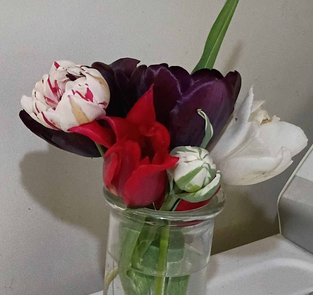 Geoffrey C Porter Old School Writer tweet media