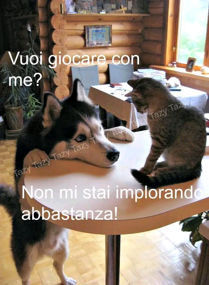 Innamoratevi non di chi vorrete raggiungere ad ogni costo ma di chi una volta raggiunto non vi farà più desiderare uscite di sicurezza...