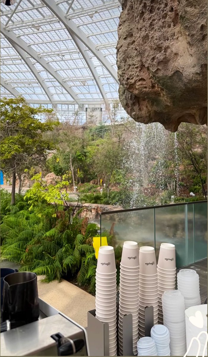 SI 🇪🇸 tweet media