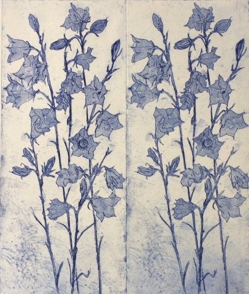 womensart1's tweet image. Harebells, 2017 by Evi Tihemets, Estonian printmaker #WomensArt #April