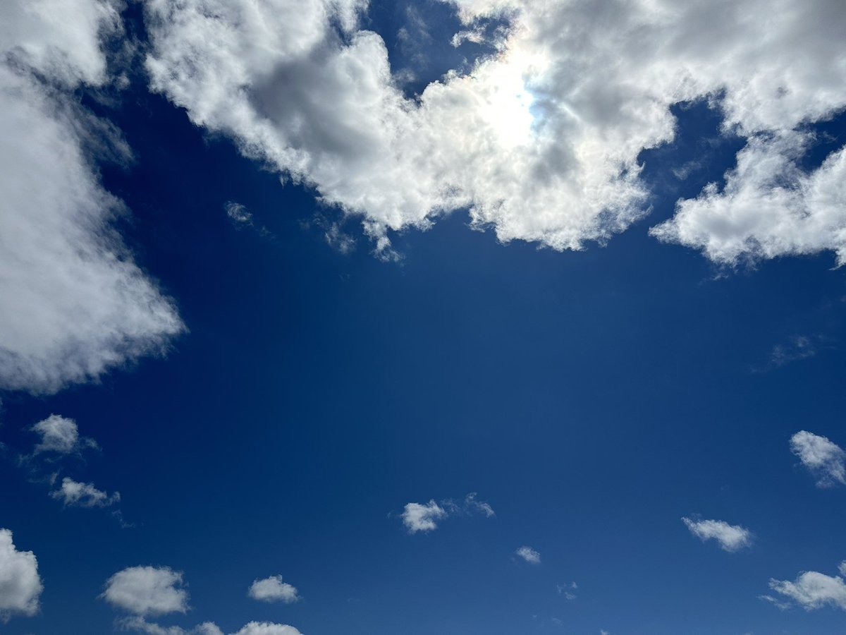 kaede2_soft_s's tweet photo. 久しぶりの青空

明日は27℃だって！！
いい加減
クールビズの期間とかやめない？？

明日は絶対半袖だな！ https://t.co/zg6Uels5W7