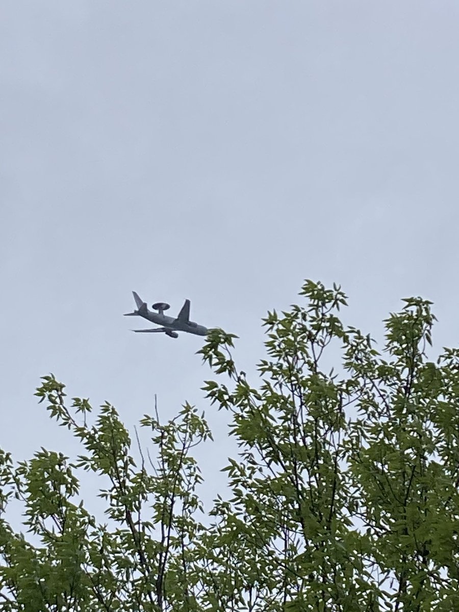 sankaku(ザメル) tweet media