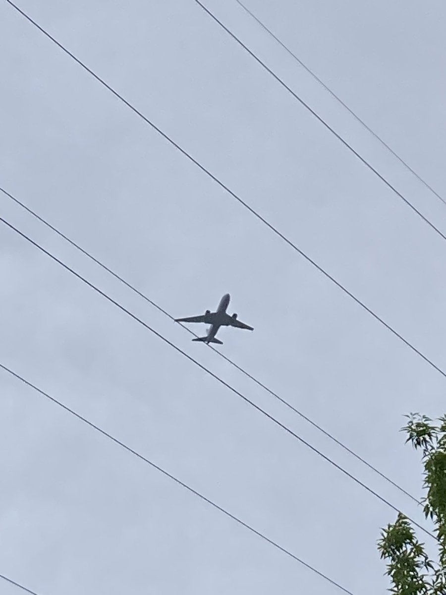 sankaku(ザメル) tweet media