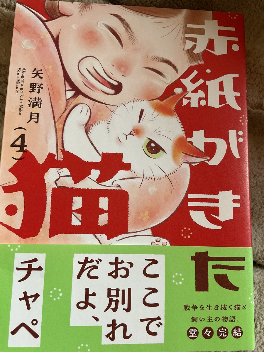 不滅の恋人 tweet media