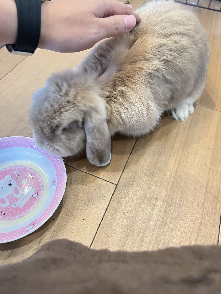 さいつ tweet media