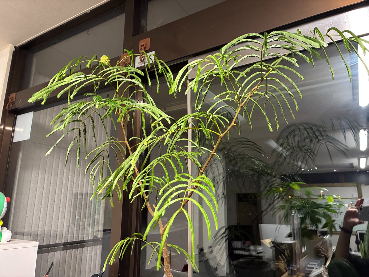 ムビサポQ┊︎映像制作 tweet media