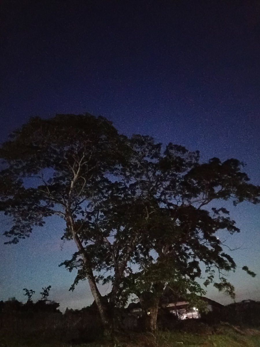 Opulence_crypto1 tweet media