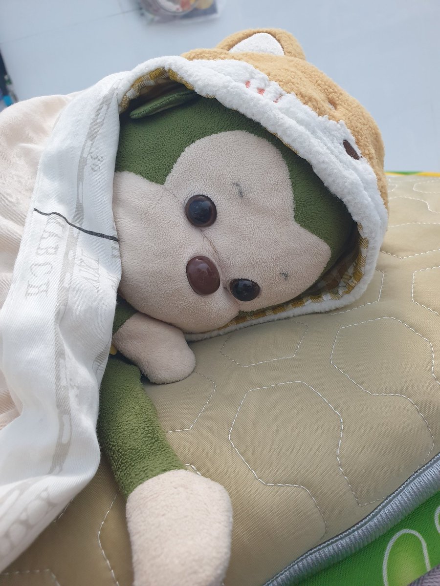 Bao 🐒 tweet media