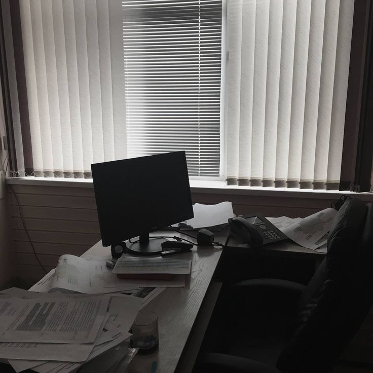 puddingo 🍮 tweet media