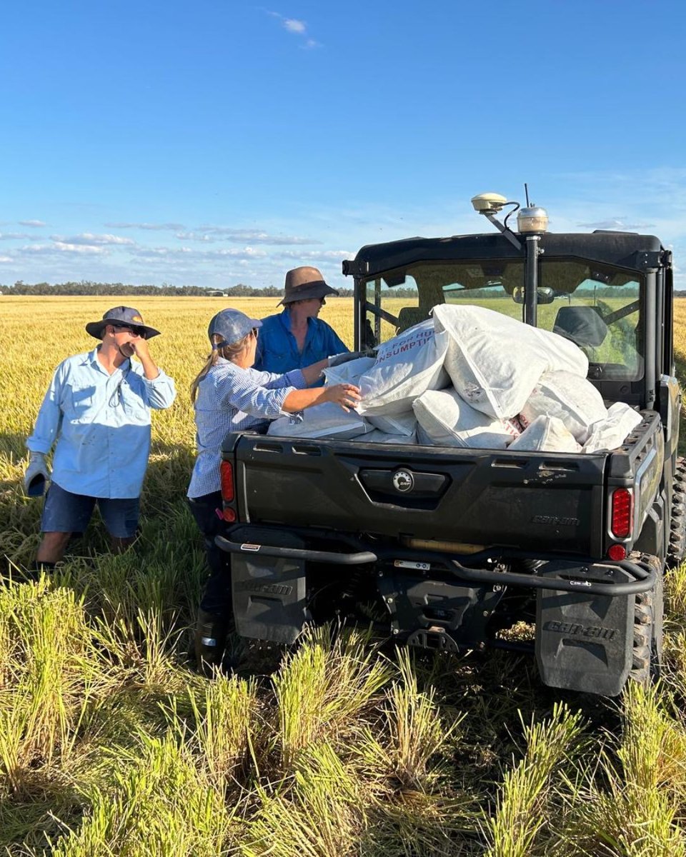 Rice Extension tweet media