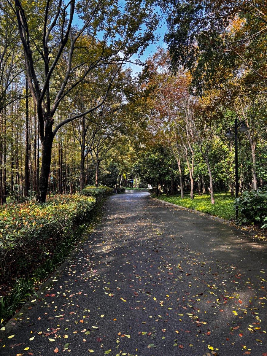 James Bull tweet media