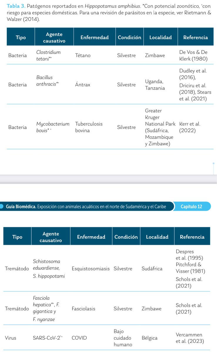 Nataly Castelblanco tweet media