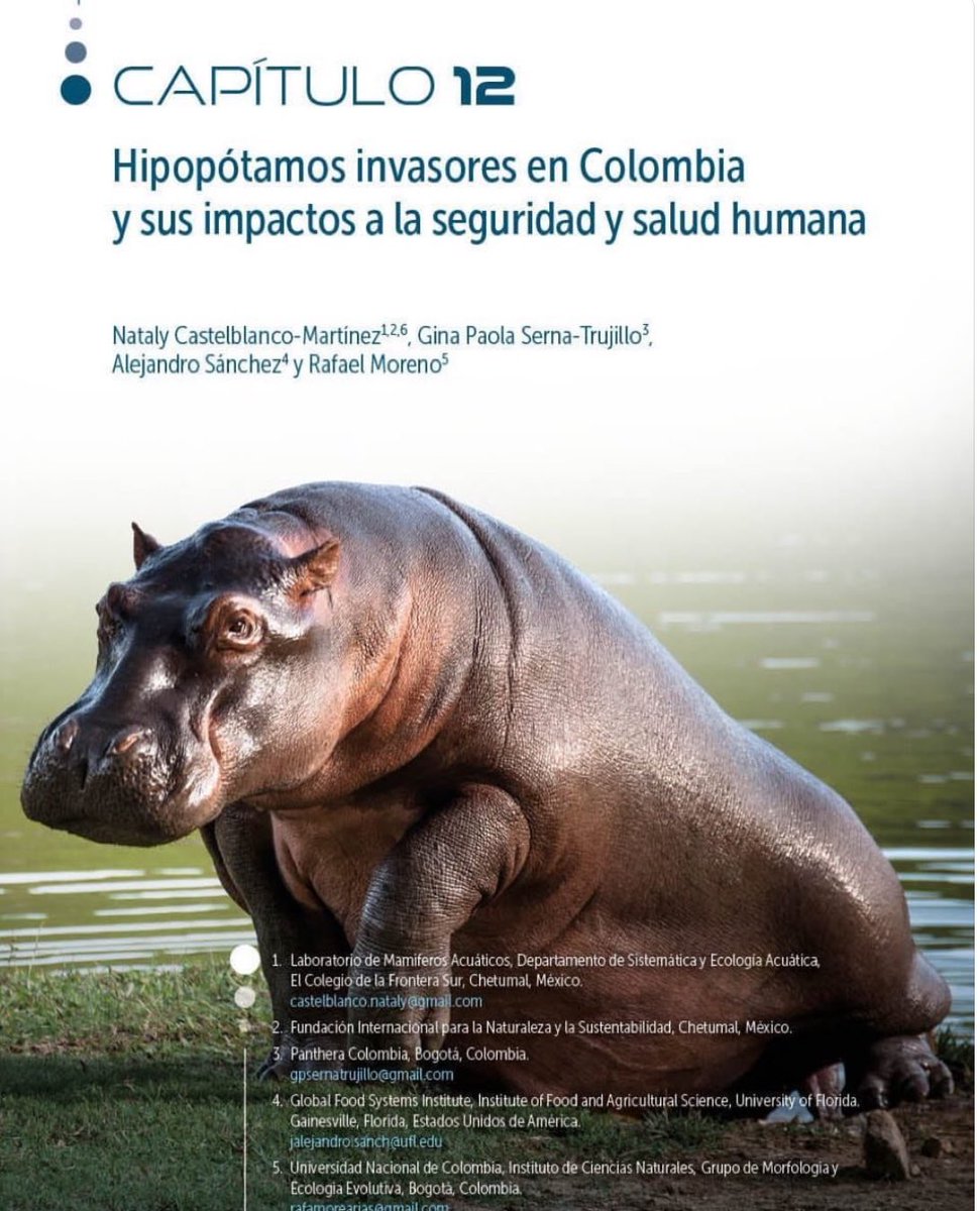 Nataly Castelblanco tweet media