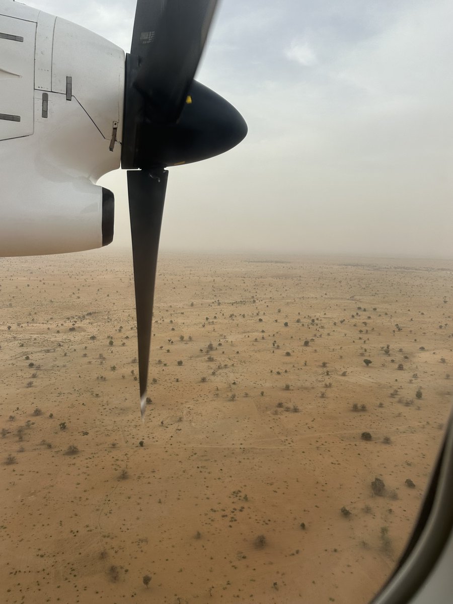 Carl Skau tweet media