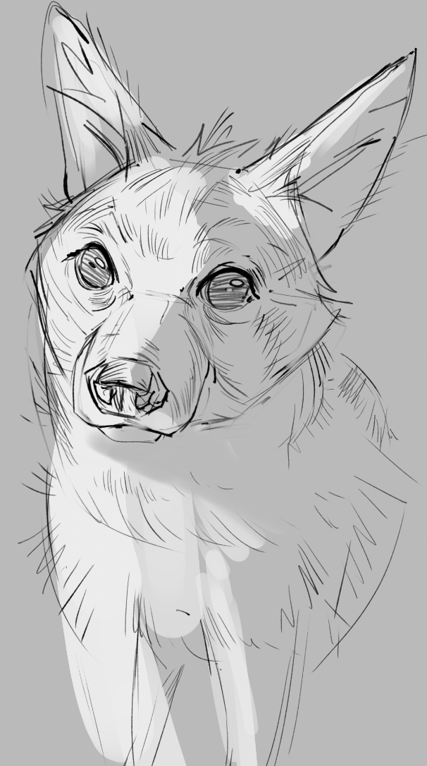Yoriflex's tweet photo. yeen study 🤡 https://t.co/iYtbqEdH6k