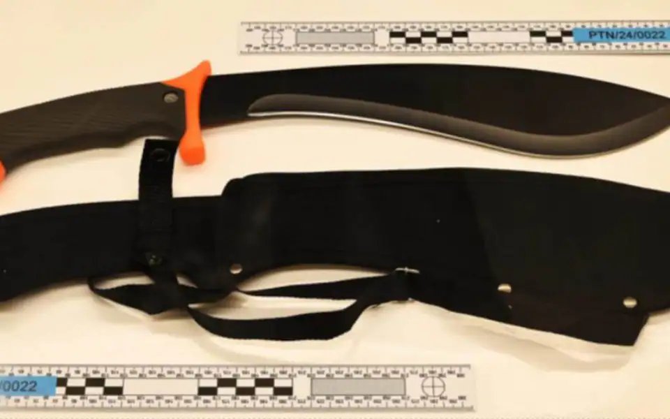 ᅠ ᅠᅠ ᅠ tweet media