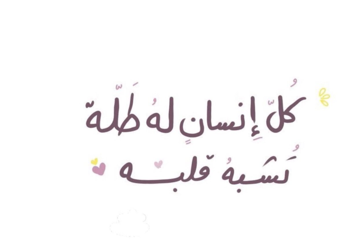 🄰🅉🄸🌼🇰🇼 tweet media
