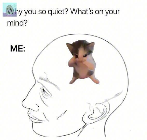 Tanyarl 💚 tweet media