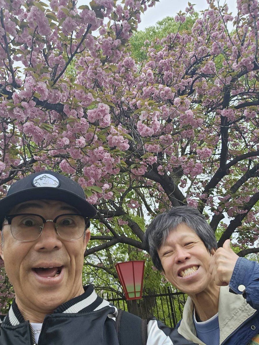 森脇健児のぶっとび水曜日 tweet media