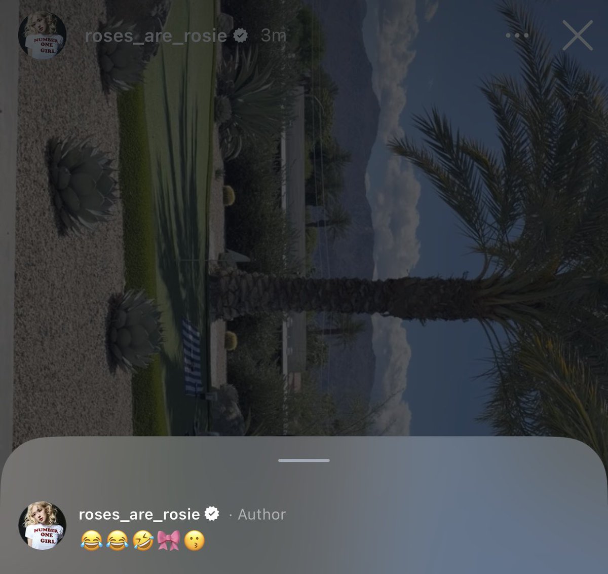 Wild_roses tweet media