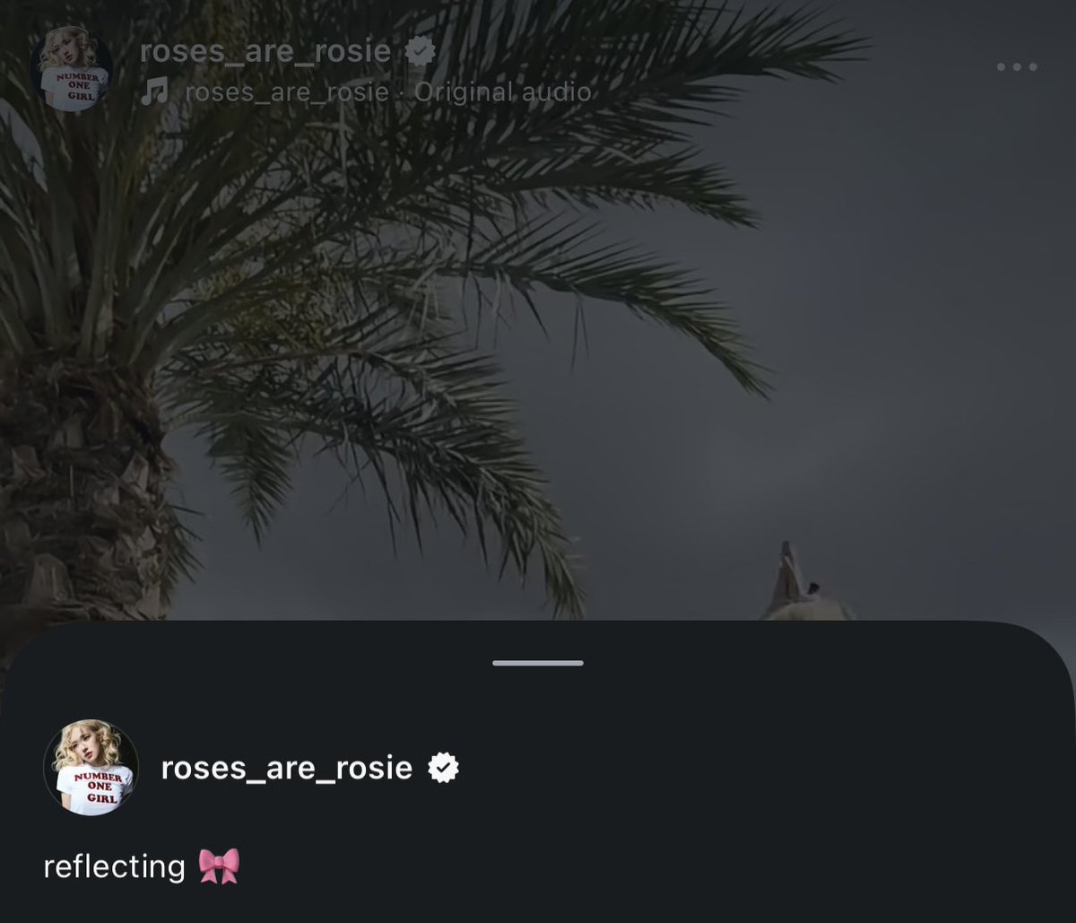 Wild_roses tweet media