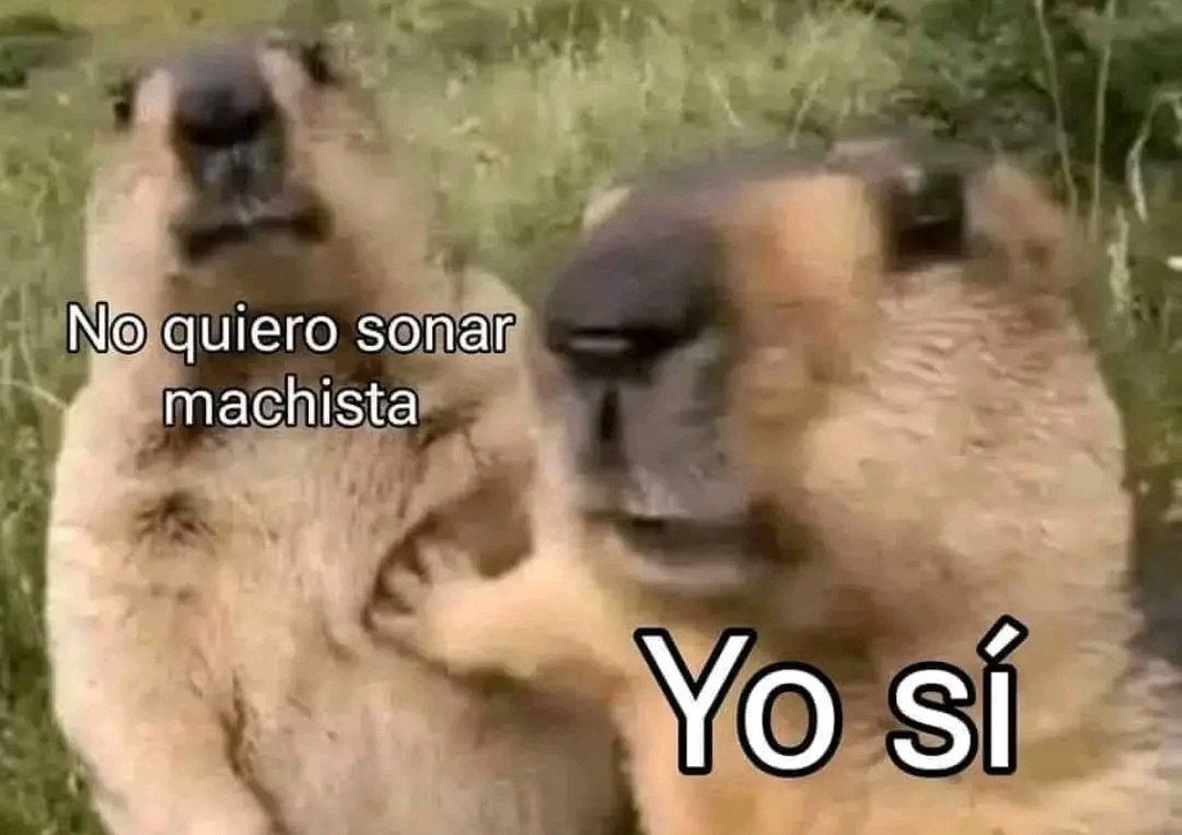 Asociación Uruguaya de Globos tweet media