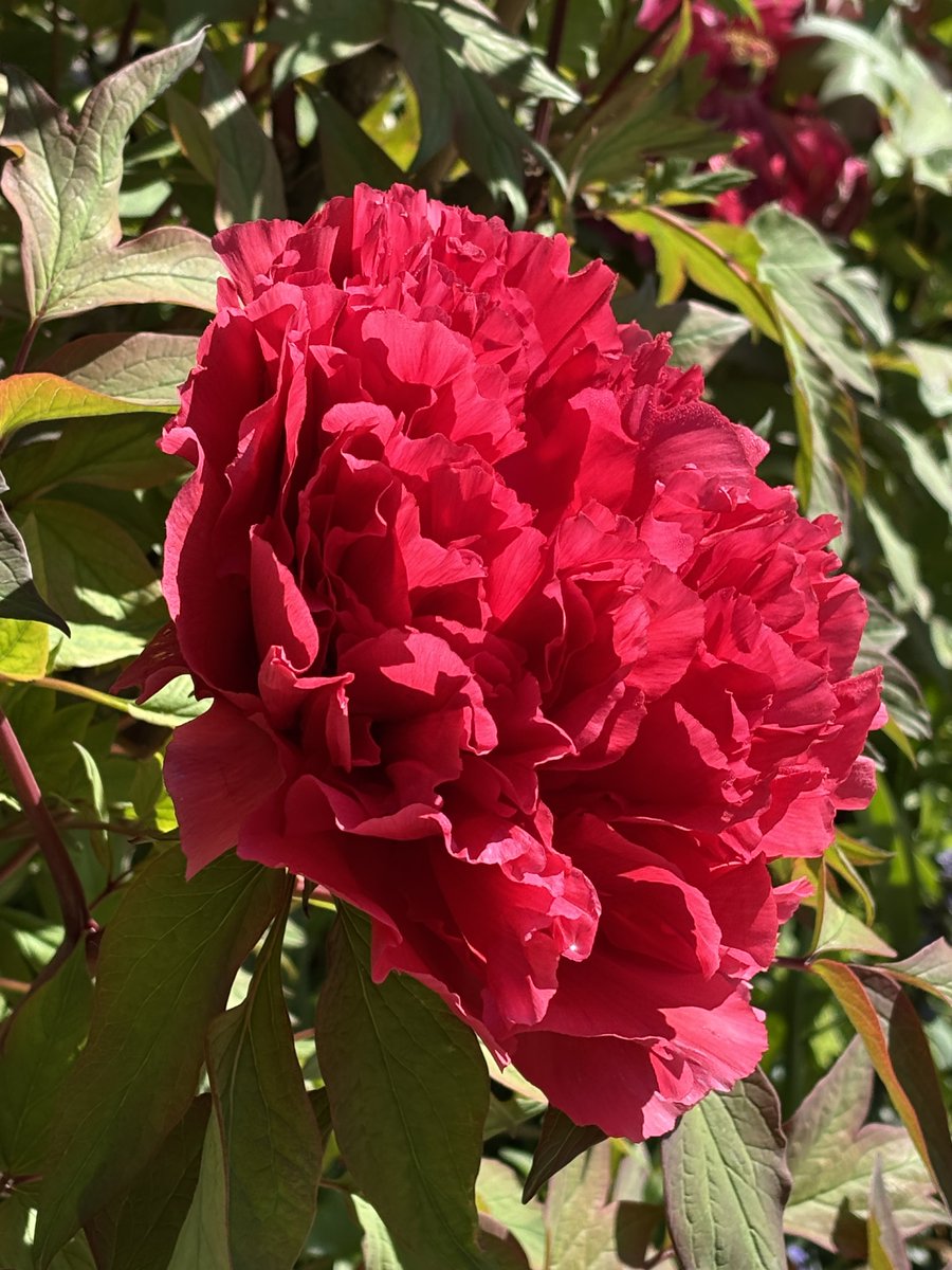 énie🌺 tweet media