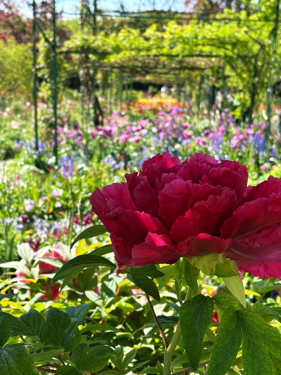 énie🌺 tweet media