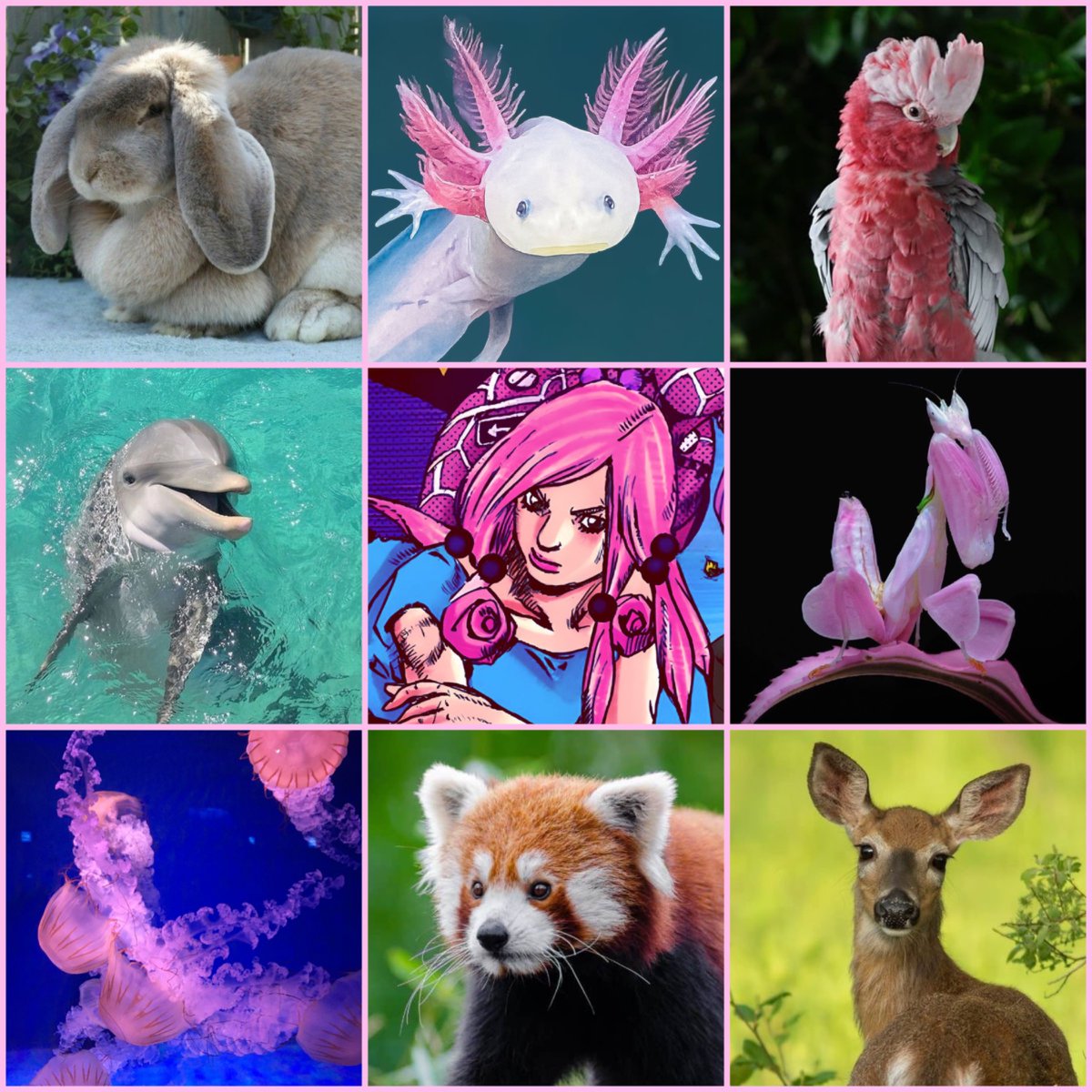 rosemary 📓 tweet media