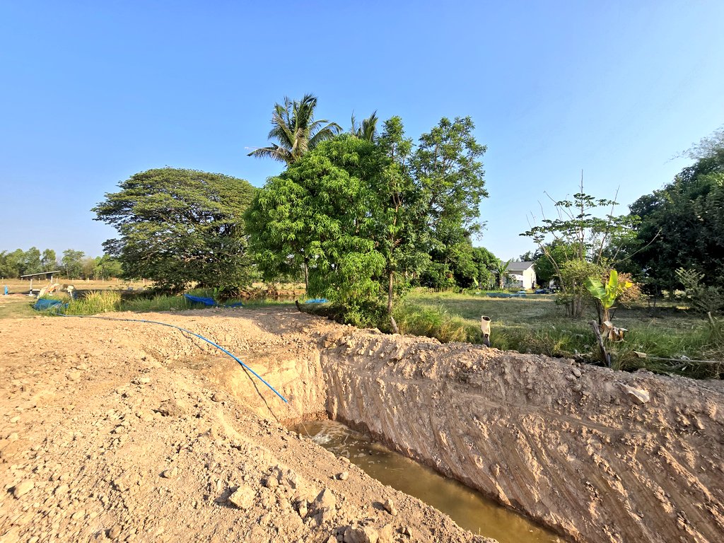 MorSun Vol.4 tweet media