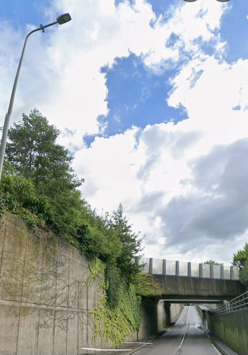 vd Knaap tweet media