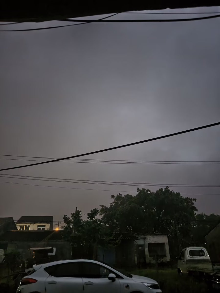 一只汪老师 tweet media