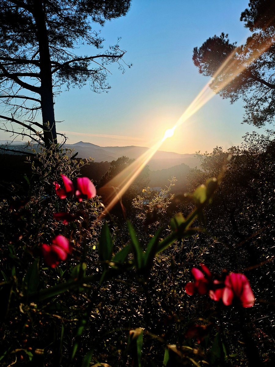 Mon ⛰️🐾 tweet media