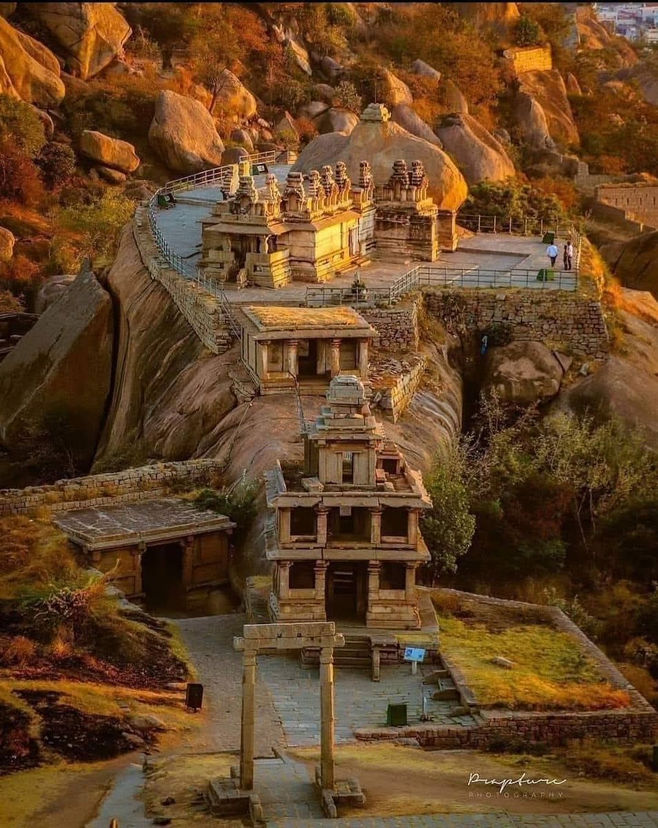 Meeta 🍁 tweet media